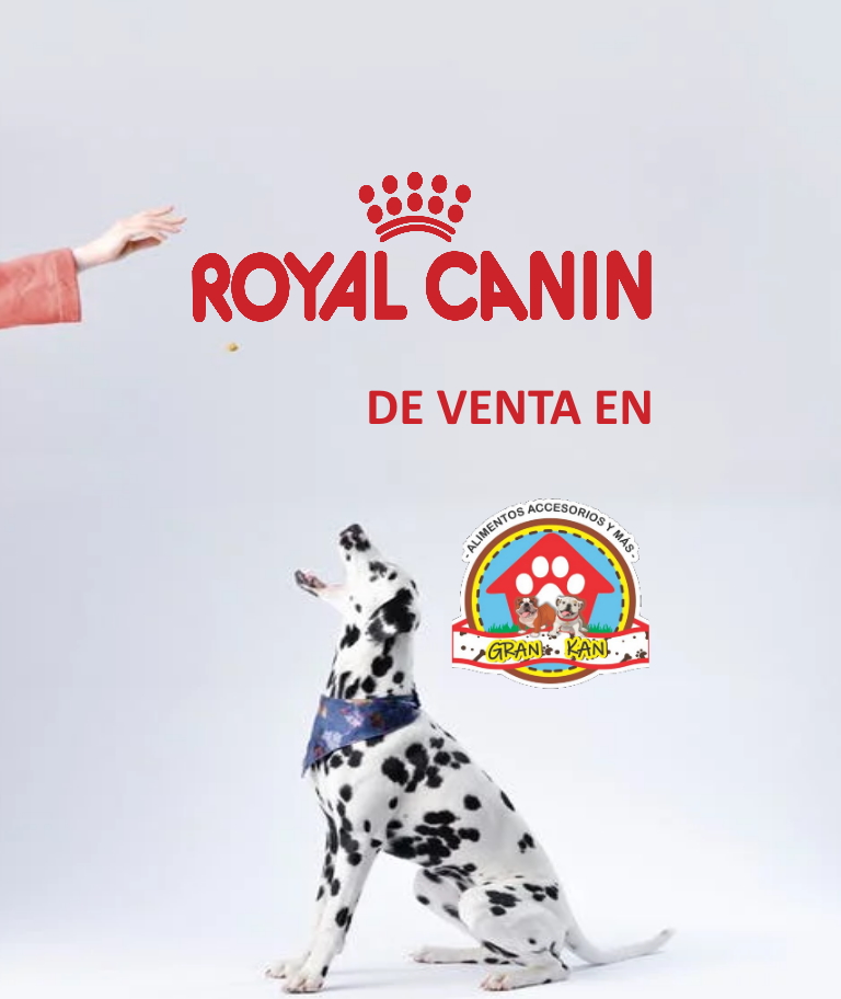 Gran Kan San Juan del Río | Royal Canin | GRAN KAN SAN JUAN DEL RIO